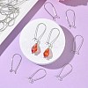 SHEGRACE Brass Kidney Ear Wire XGR0004P-43P-5