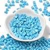 Baking Paint Glass Bead SEED-H002-K-D303-2