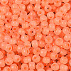 6/0 Transparent Inside Colours Glass Seed Beads SEED-N008-08R-3