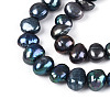 Natural Cultured Freshwater Pearl Beads Strands PEAR-P002-54A-3