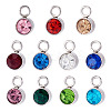 10Pcs Glass Rhinestone Charms STAS-TA0003-26E-2