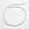 Natural Cultured Freshwater Pearl Beads Strands PEAR-F007-26-2