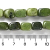 Natural Canadian Jade Beads Strands G-P497-01D-01-5