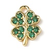 Brass Micro Pave Cubic Zirconia Charms X-KK-I276-44G-1