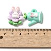 Cartoon Rabbit Theme Opaque Resin Decoden Cabochons RESI-R443-04-3