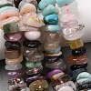 Natural Mixed Stone Beads Strands G-Z155-B03-01-1