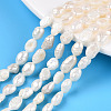 Natural Cultured Freshwater Pearl Beads Strands PEAR-N014-05K-1