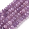 Dyed Natural Malaysia Jade Rondelle Beads Strands X-G-E316-2x4mm-39-1