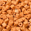 Baking Paint Glass Bead SEED-H002-K-D325-3