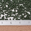 MIYUKI Delica Beads SEED-MY11-DB2291-4