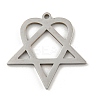 Non-Tarnish 304 Stainless Steel Pendants STAS-R228-03P-1