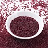 MIYUKI Round Rocailles Beads SEED-G007-RR0315-2