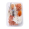 Dried Flowers DIY-D052-24-1