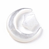 Natural White Shell Beads Sets SSHEL-N032-52A-01-4