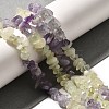 Natural New Jade & Amethyst Beads Strands G-L610-A21-01-2