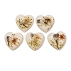 Transparent Resin Cabochons RESI-K033-12A-1