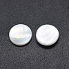 Shell Cabochons SSHEL-E568-A03-1