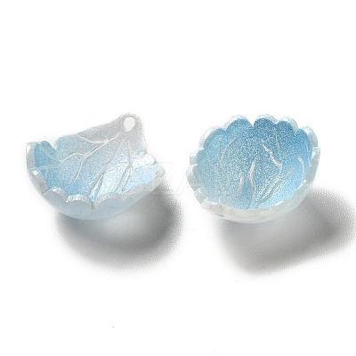 Acrylic Charms SACR-C002-25-1