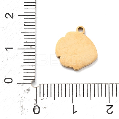 304 Stainless Steel Enamel Charms STAS-R169-04B-G-1