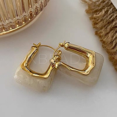 Zinc Alloy Resin Hoop Earrings FS-WG1C3F9-01-1