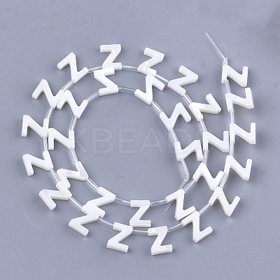 Natural Freshwater Shell Beads SHEL-T012-59-1