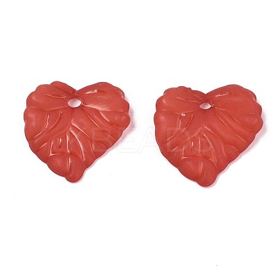 Transparent Acrylic Pendants TACR-S157-01H-1
