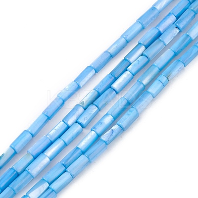 Natural Freshwater Shell Dyed Beads Strands SHEL-M018-11-06-1