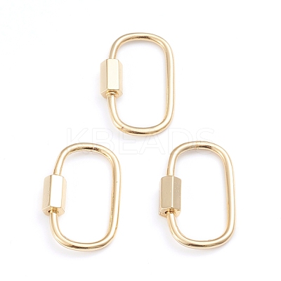 Brass Screw Carabiner Lock Charms ZIRC-I041-05G-1