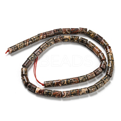 Natural Leopard Skin Jasper Beads Strands G-Q1008-A06-1