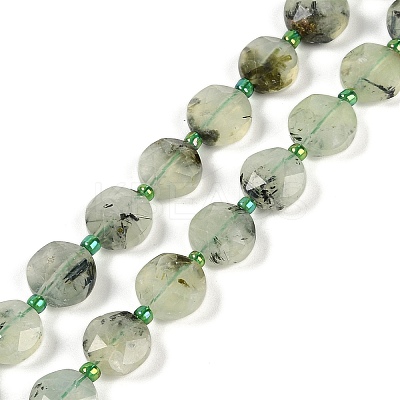 Natural Prehnite Beads Strands G-C116-A19-01-1