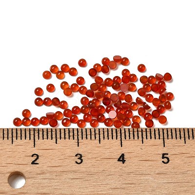 Natural Carnelian Dome/Half Round Cabochons G-G037-01B-04-1