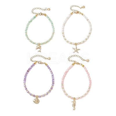 4Pcs Marine Organism Theme 304 Stainless Steel Charm Bracelets BJEW-JB13305-1