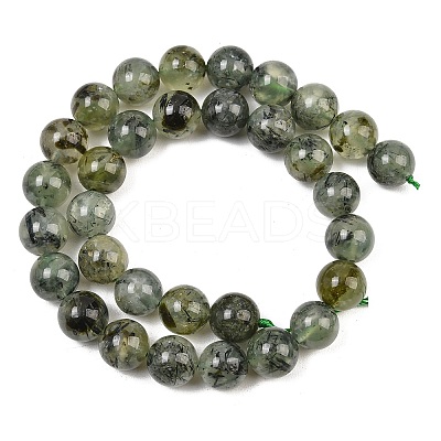 Natural Prehnite Beads Strands G-P322-48-8mm-1