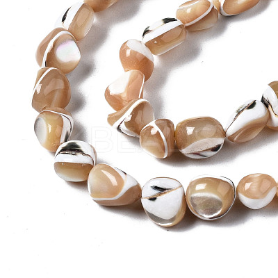 Natural Trochid Shell/Trochus Shell Beads Strands SSHEL-S266-015B-1