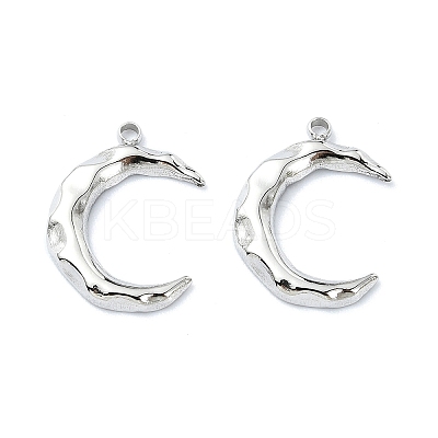 Non-Tarnish 304 Stainless Steel Pendants STAS-L022-336P-1