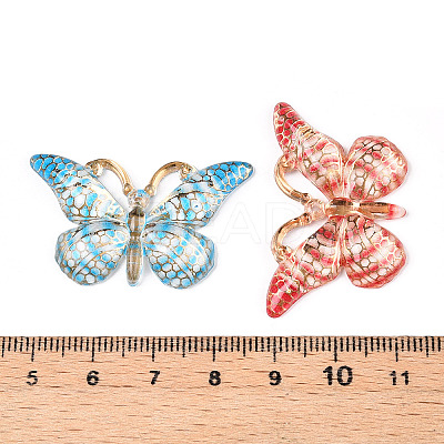 Printed Translucent Acrylic Pendants OACR-T028-17C-1