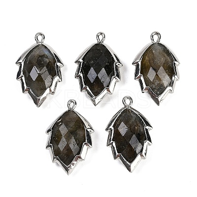Natural Labradorite Faceted Leaf Pendants G-I375-04P-08-1