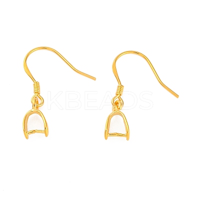 925 Sterling Silver Earring Hooks Findings STER-I014-28G-1