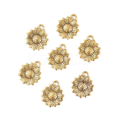Tibetan Style Alloy Pendants TIBEP-R344-35AG-RS-1
