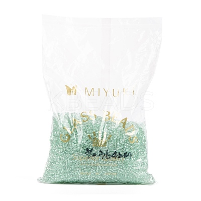 MIYUKI Round Rocailles Beads SEED-G008-RR3642-1