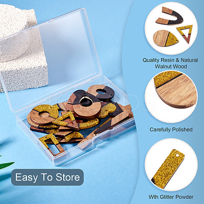 20Pcs 10 Styles Opaque Resin & Walnut Wood Pendants RESI-TA0003-37-1