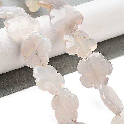 Natural White Agate Beads Strands G-F769-G01-02-1