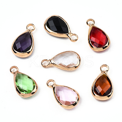 K9 Glass Charms GLAA-N038-21-1