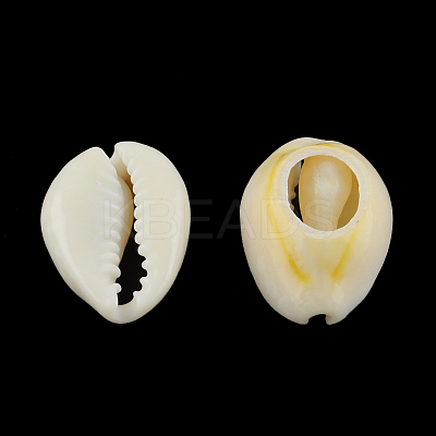 Natural Mixed Cowrie Shell Beads X-BSHE-S051-01-1
