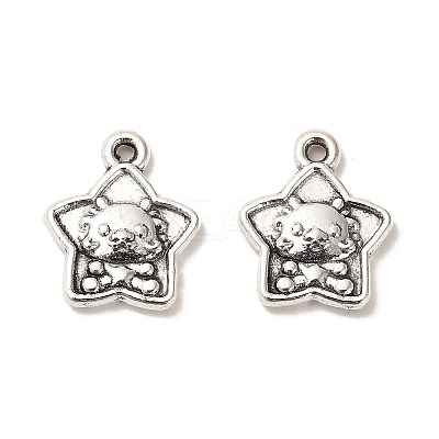Tibetan Style Alloy Pendants LS-FIND-C043-047AS-1