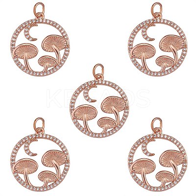 5Pcs Brass Micro Pave Clear Cubic Zirconia Pendants ZIRC-SZ0003-33A-1