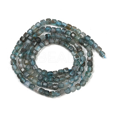 Natural Apatite Beads Strands G-RM241221-M2-1