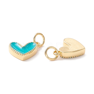 Rack Plating Brass Enamel Charms KK-D073-27G-04-1