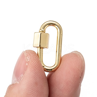 Brass Screw Carabiner Lock Charms LS-KK-T047-08G-1