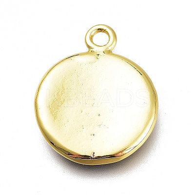 Brass Enamel Pendants KK-H103-02P-G-1